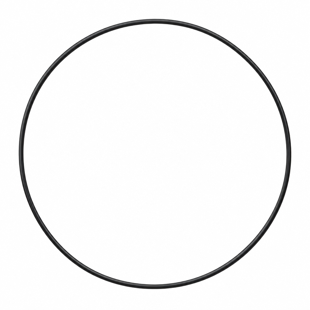 AI illustration of AFLAS O rings, showing one thin black ring with a round cross section.
